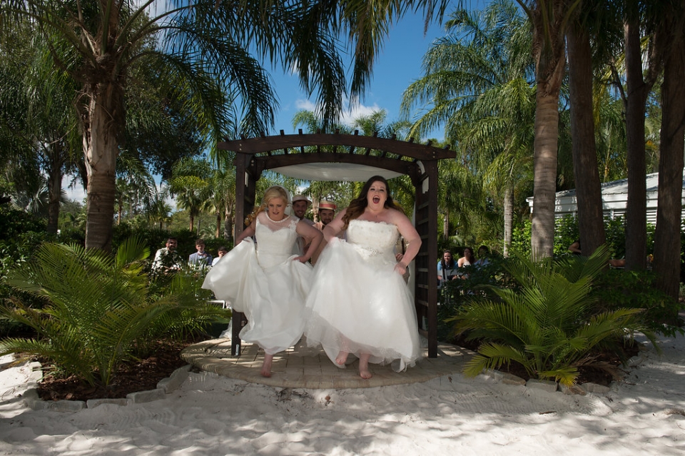 Danielle & Claire Wedding - Paradise Cove Danielle & Claire Wedding - Paradise Cove