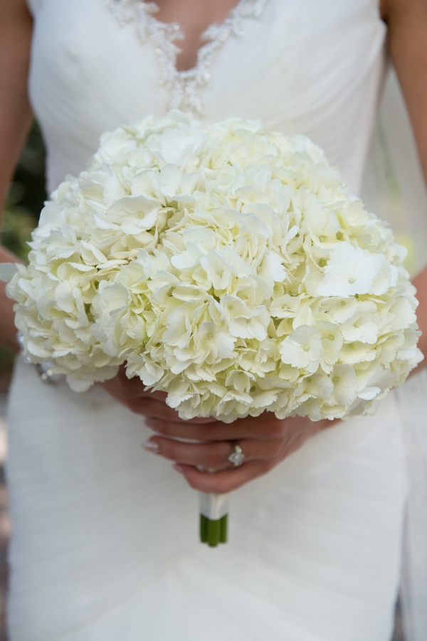 Hydrangea Bouquet